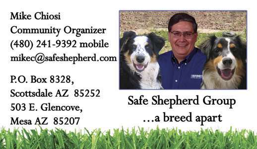 Safe Shepherd Business Card